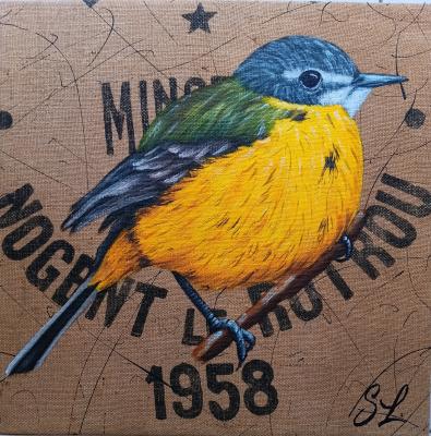 Bergeronnette printanière