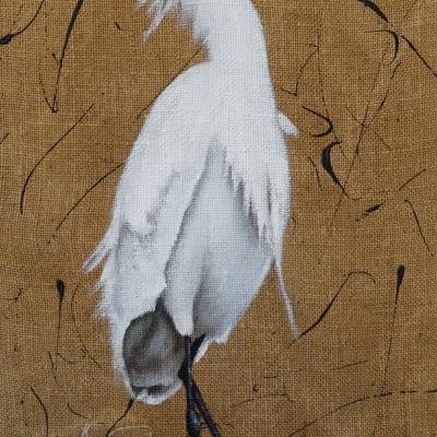 Aigrette 2 1