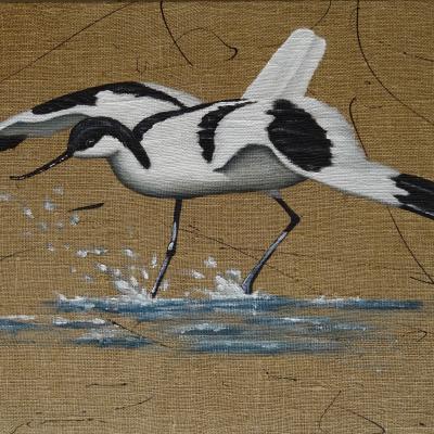 Avocette en vol 40x60 2 1