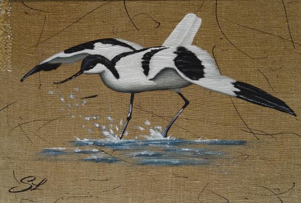 Avocette en vol 40x60 2 1
