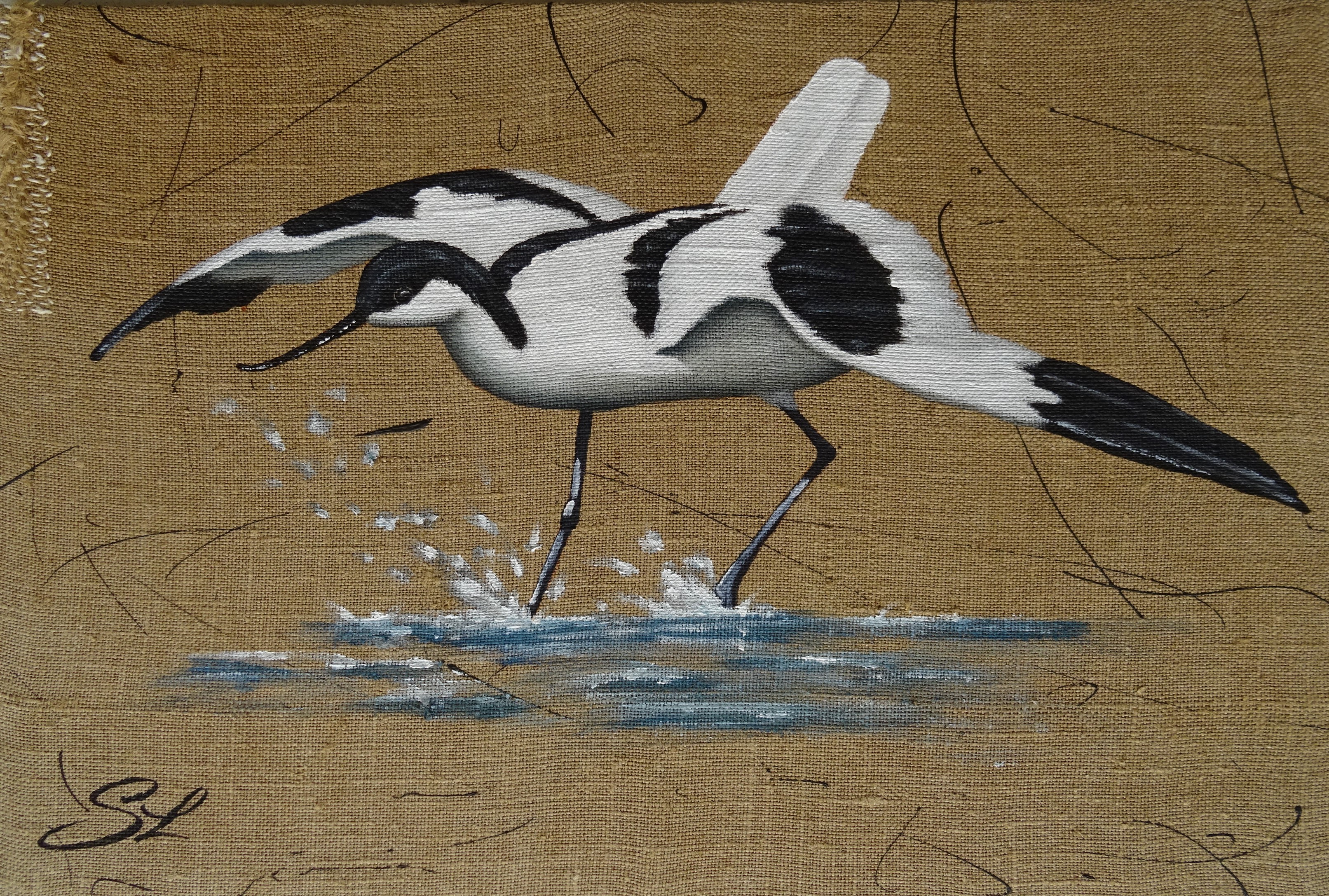 Avocette en vol