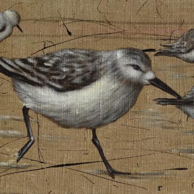 Avocettes sylvie leau artiste peintre ile re peinture sur toile de jute 1