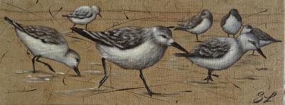 Avocettes sylvie leau artiste peintre ile re peinture sur toile de jute 1