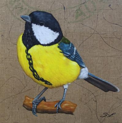 Mésange charbonnière