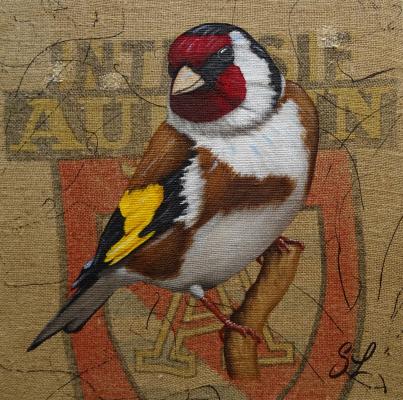 Chardonneret élégant