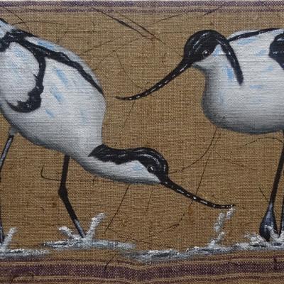 Quator d Avocettes