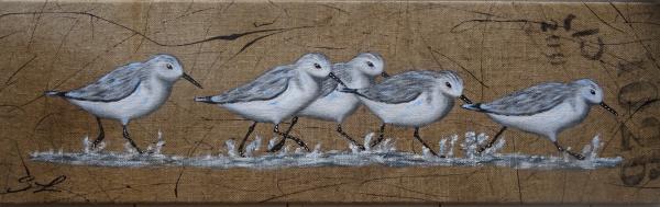 Quintette de Bécasseaux