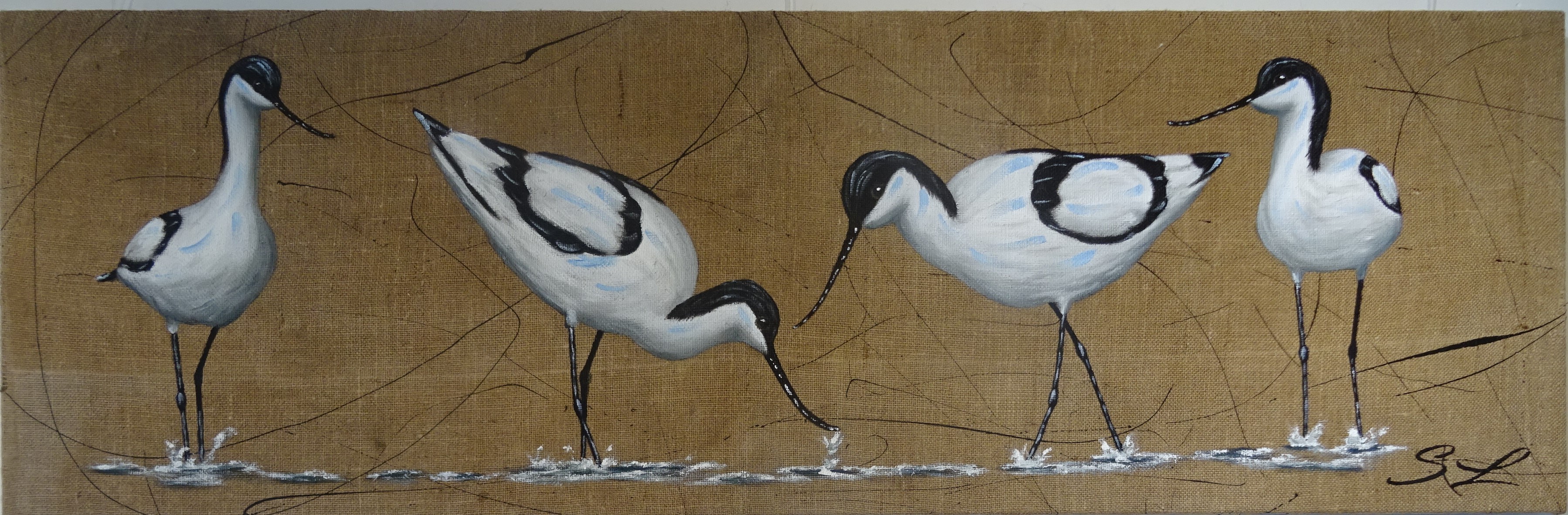 Quator d Avocettes