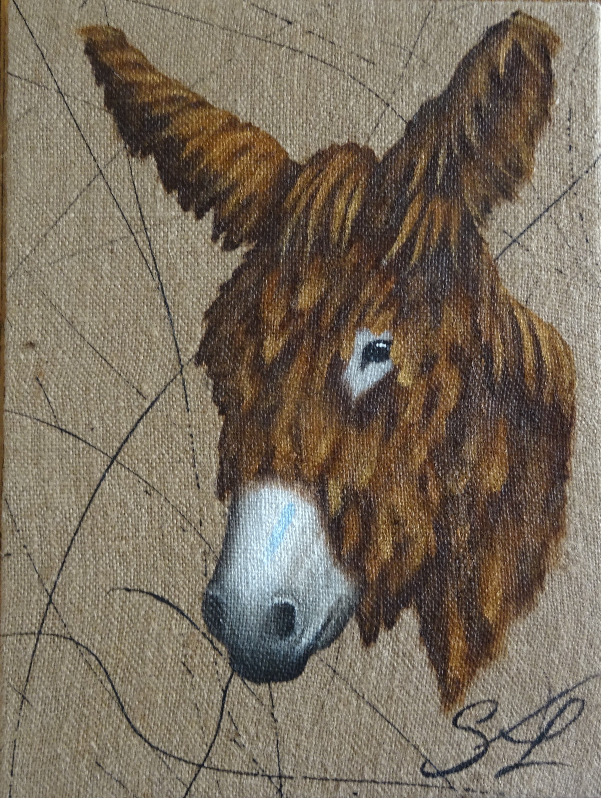 Ane 