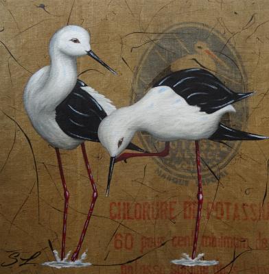 Duo Echasses Blanches