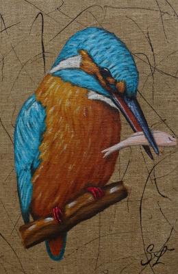 Martin pecheur poisson