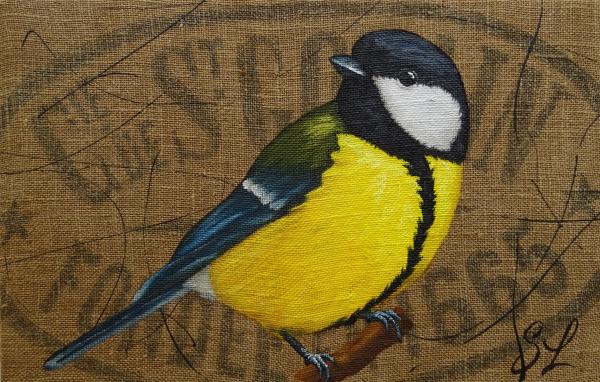 Mésange charbonnière