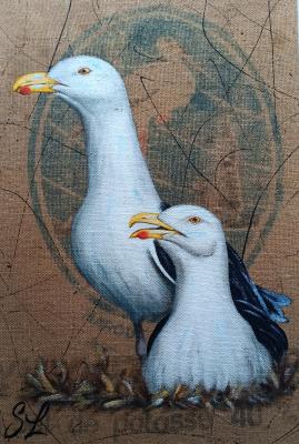 Duo goélands marins