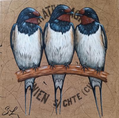 Hirondelles rustiques