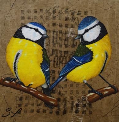 Duo de Mésanges bleues